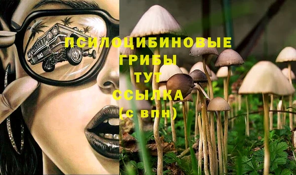 ALPHA-PVP Елизово