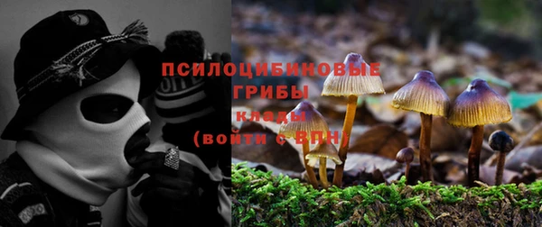 эйфоретик Заволжск